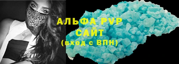 стаф Туринск