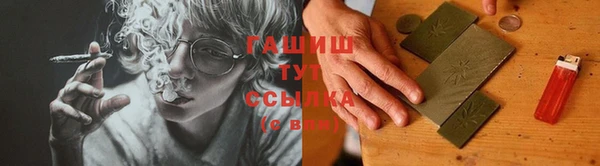 стаф Туринск