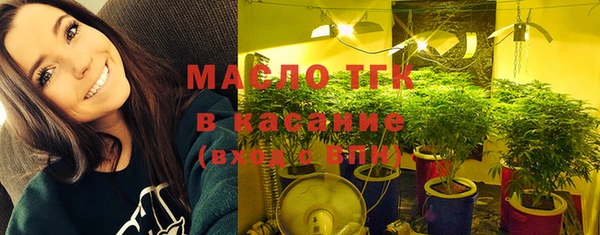 стаф Туринск