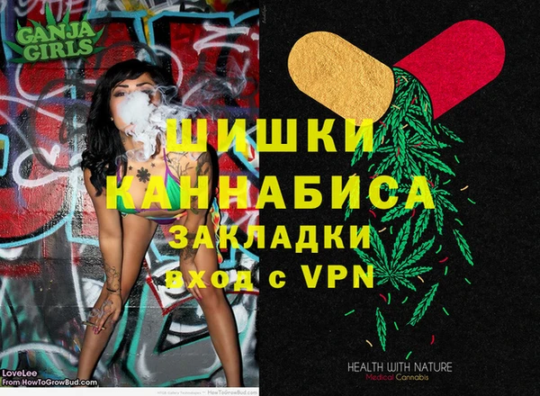хмурый Тында