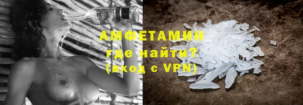 стаф Туринск