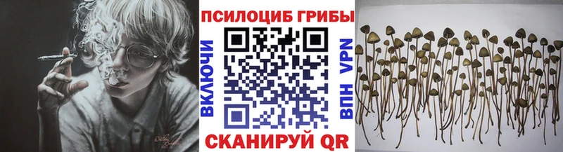 Псилоцибиновые грибы прущие грибы  купить  цена  кракен как зайти  Находка 