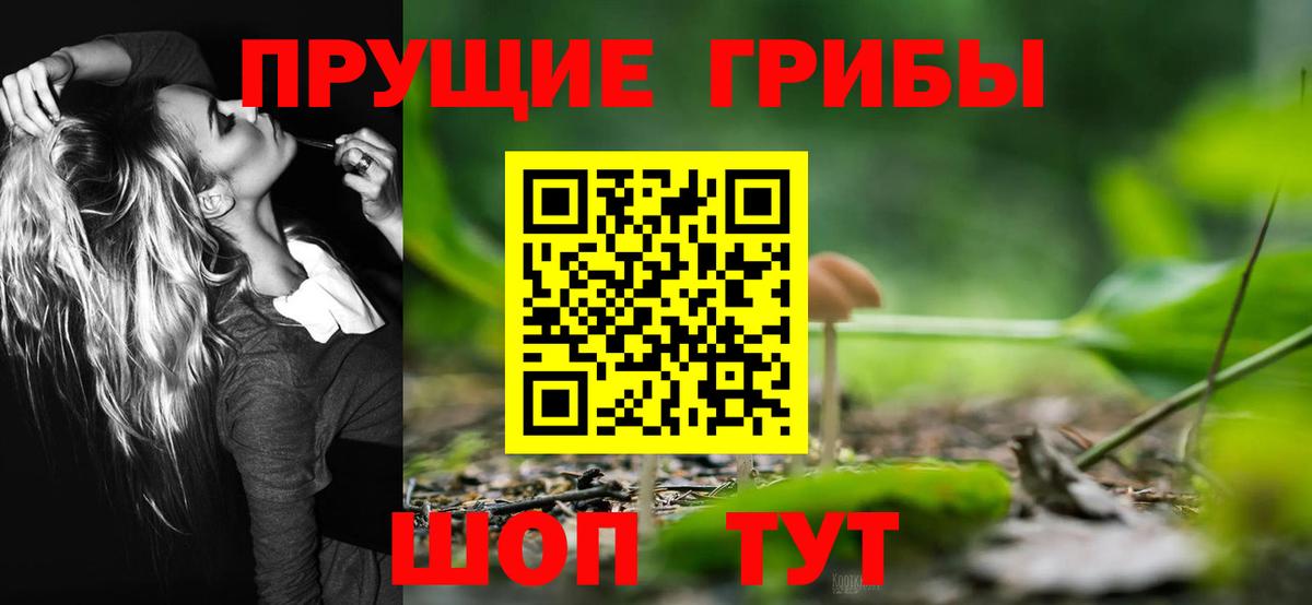 Находка  Галлюциногенные грибы Cubensis  Псилоцибиновые грибы прущие грибы  Вход с VPN 