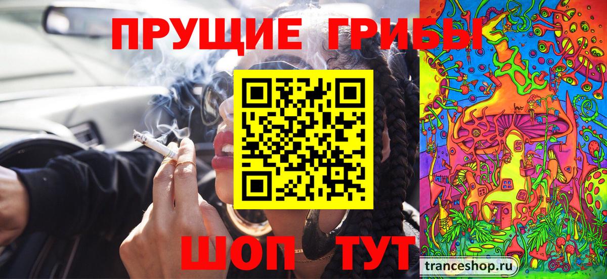 Псилоцибиновые грибы Cubensis Находка