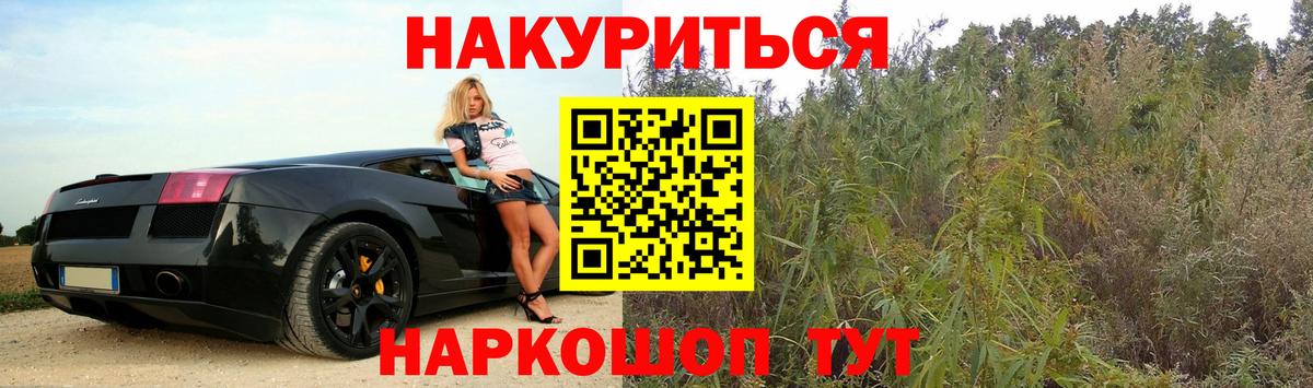 Конопля OG Kush Находка